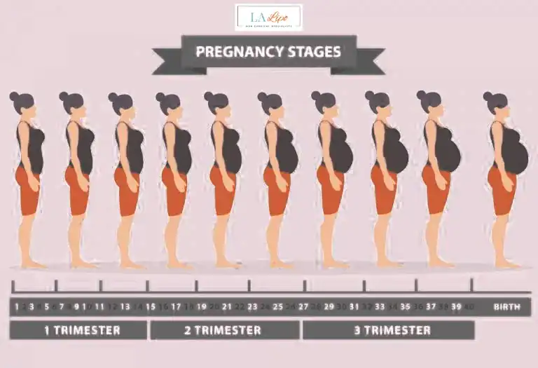First Trimester (Weeks 1–12): Early Changes You Might Not Notice Runcorn